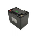 স্ব উত্তপ্ত ফাংশন সহ স্বল্প তাপমাত্রা 48 ভি 200 এএইচ